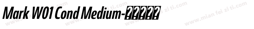 Mark W01 Cond Medium字体转换